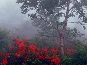 sirius_0902_b01
