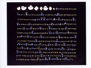 sirius_1202