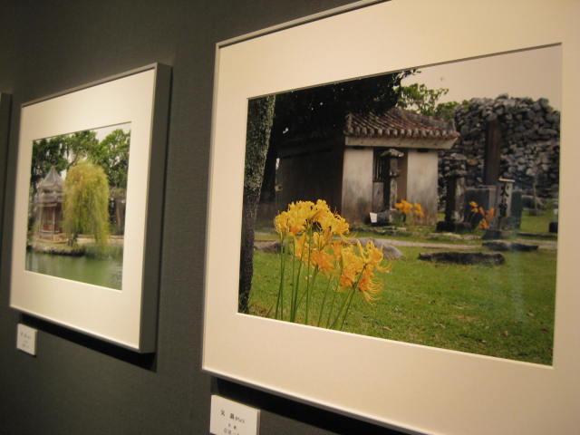 第15回 写遊きさらぎ会写真展 第15回 写遊きさらぎ会写真展