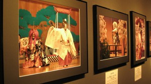 創立10周年記念　能楽写真家協会写真展「能　花への誘い」