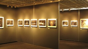 仙葉烈写真展「おしどり百景」2