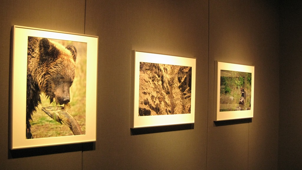 太田達也　写真展「Kamuy 神々の鼓動」