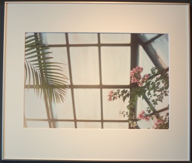 村山玄子写真展no.04_フォトギャラリー「シリウス」 村山玄子写真展no.04_フォトギャラリー「シリウス」