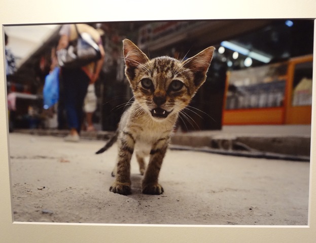 夏目安男 写真展no.04_フォトギャラリー「シリウス」